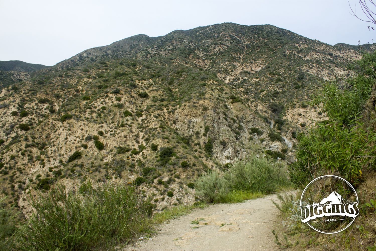 A path into the Angeles National Forest.