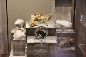 Gold in quartz and nugget forms on display to visually demonstrate the different forms in which gold can be discovered.