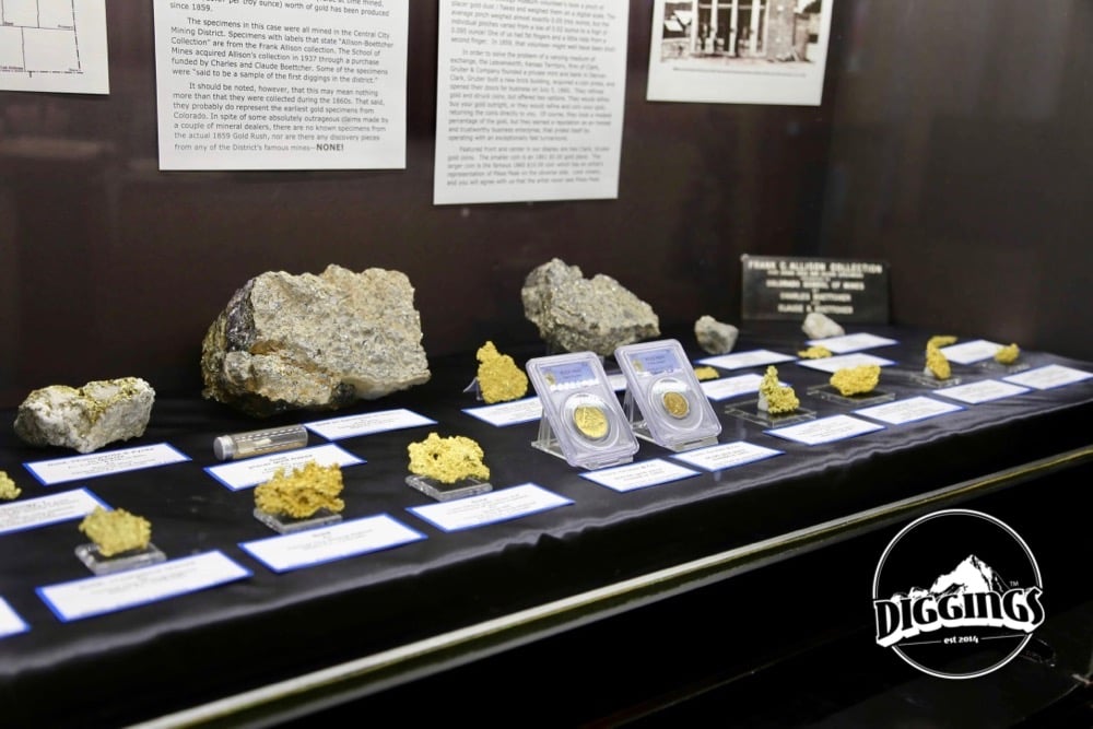 Gold specimens at the Colorado School of Mines Geology Museum