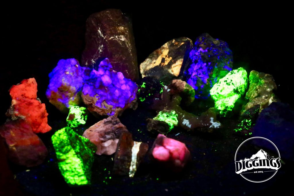 Fluorescent minerals under a blacklight at the Museum of the West