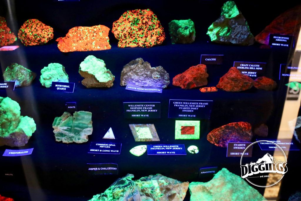 Black Light Fluorescent Rocks at the Idaho Museum of Mining & Geology