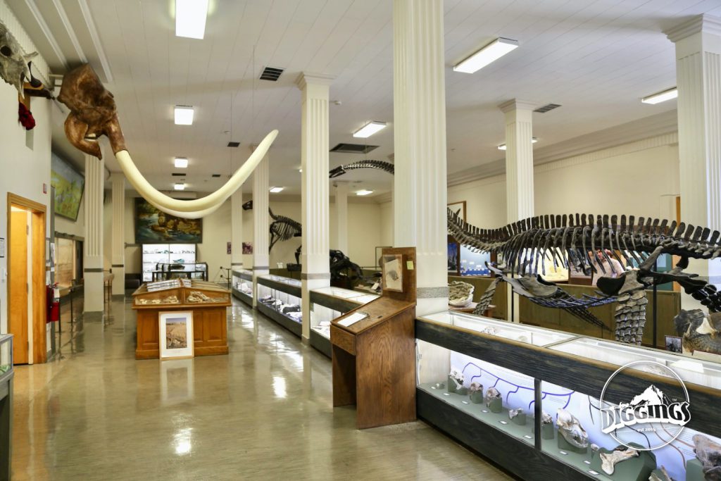 Inside the South Dakota School of Mines & Technology Museum of Geology